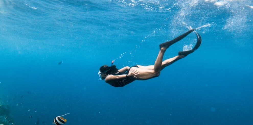 313248cff7151bd02b10a3520a18991172dfb32c