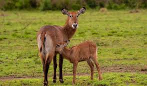 0b226c450798410ac541646c86ec31afd840e5beab817a5d84fa821e7db61981ec84c3b4a3f072a7a2e1899c9fb06c6eefcad7c56868ef8fc0d6e9a8f237797440baaddb3d9c6eaaf2f8b1482942dccd82537d88708f97e250a34af105272603