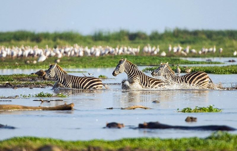 Kenya’s Most Cinematic Landscapes: Top 10 Spots for Instagram-Worthy Adventures