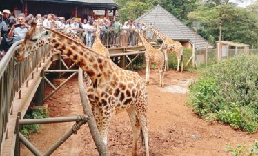 Nairobi Day Trips