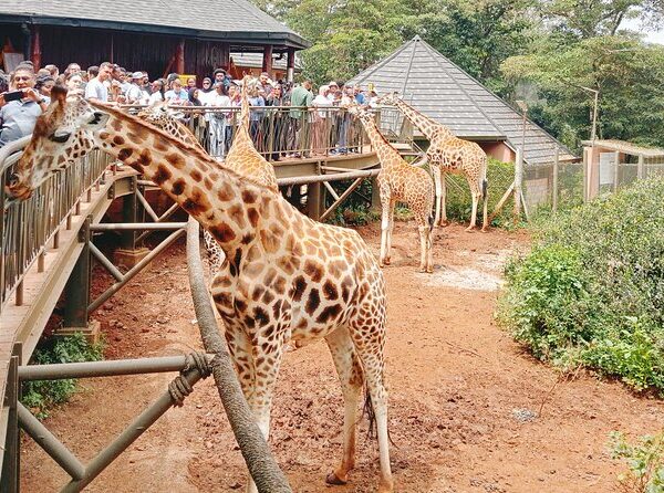 Nairobi Day Trips