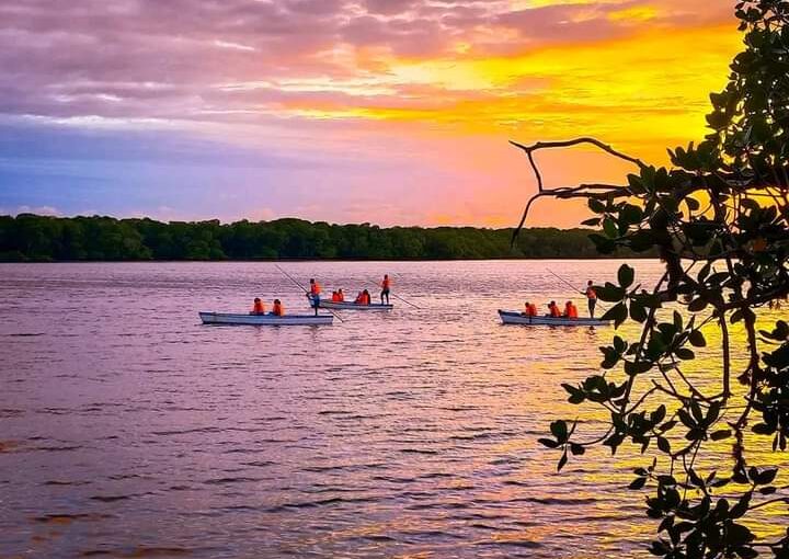 Watamu Experiences: 9 Incredible Adventures in 2026