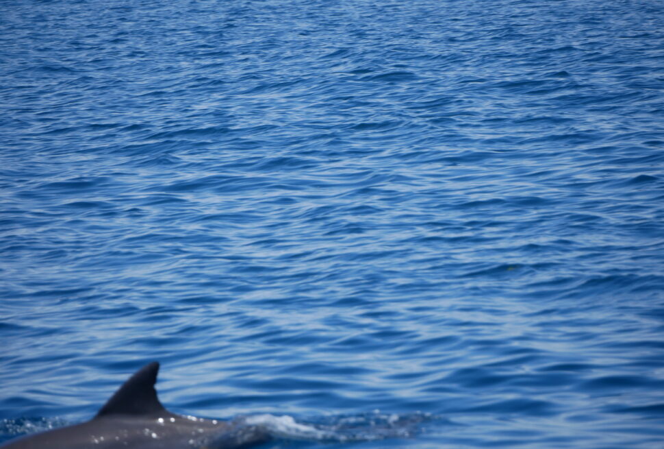 best Kenya safari and Diani Beach itinerary 10 days
