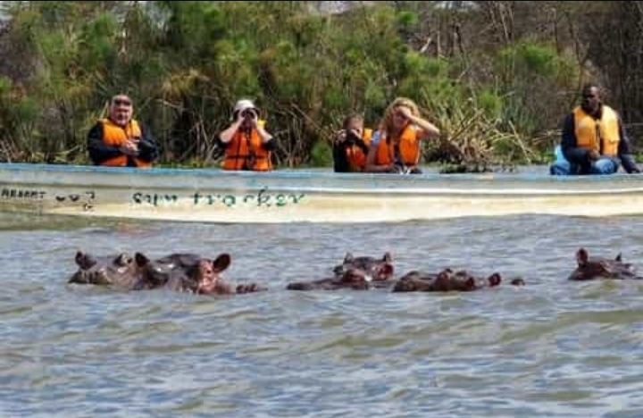 Screenshot_20260116_143457_Grok