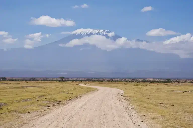 Amboseli Tsavo Diani Beach safari tour: 7 Incredible Tips