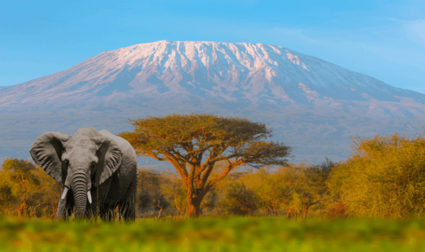 7-Day Kenya Safari Itinerary: Unforgettable Big Five Adventure