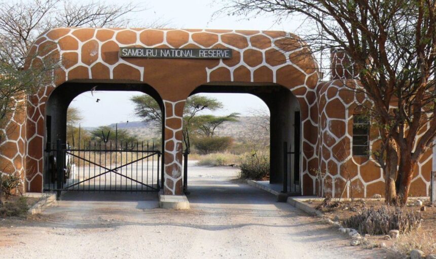 What is Samburu Special Five animals: 7 Incredible Tips