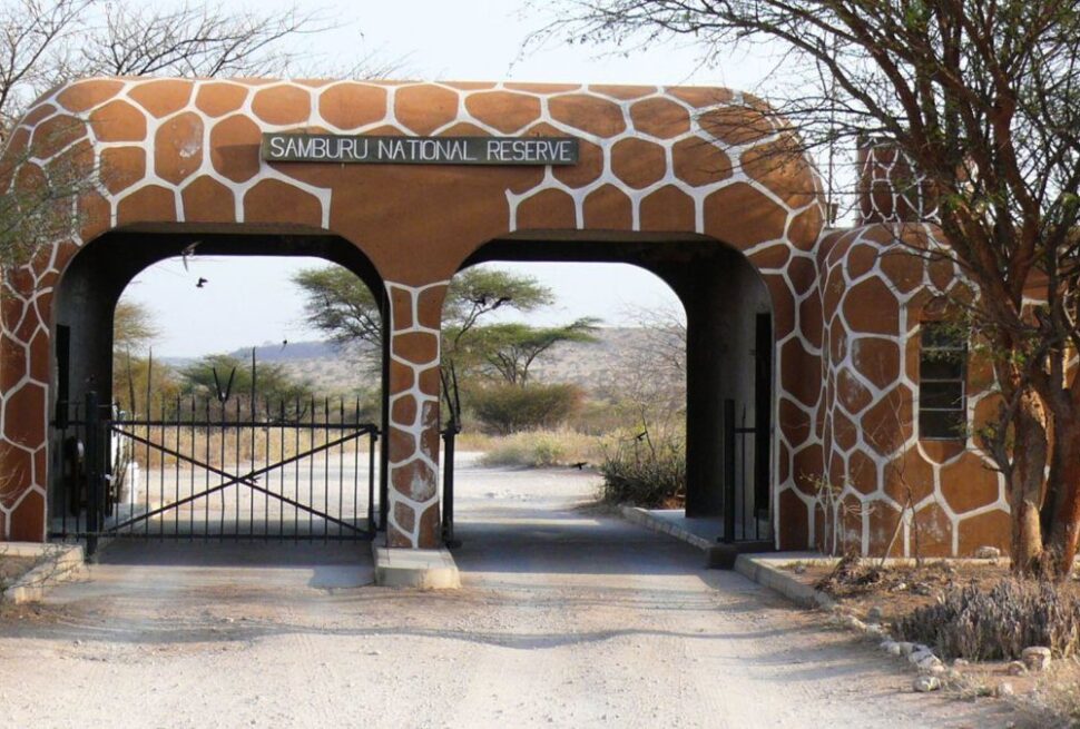 Samburu National Reserve what is Samburu Special Five animals