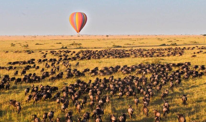 Nairobi to Maasai Mara flight packages: 7 Incredible Tips