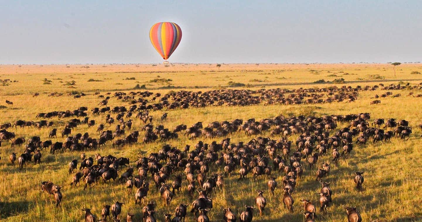 Nairobi to Maasai Mara flight packages Hot Air Balloon Safari