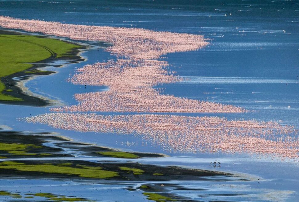 Lake Nakuru and Naivasha safari tour