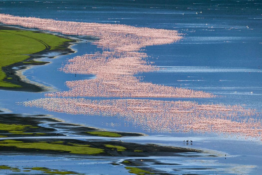 Lake Nakuru and Naivasha safari tour