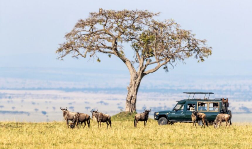 Maasai Mara private conservancy safari packages: 7 Best Tips