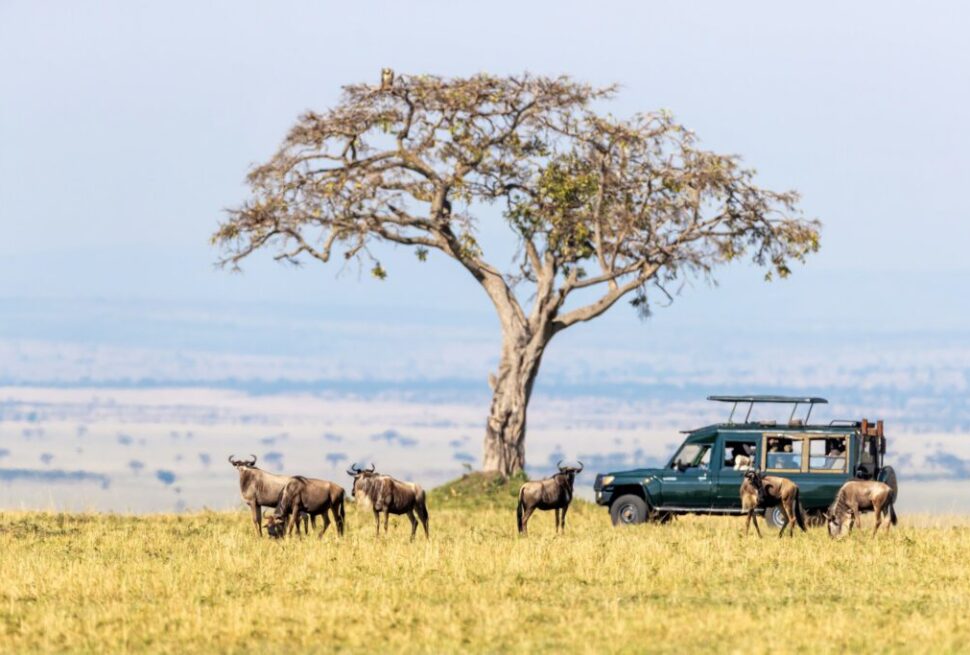 Maasai Mara private conservancy safari packages