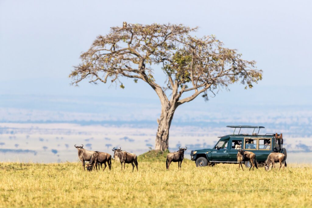 Maasai Mara private conservancy safari packages