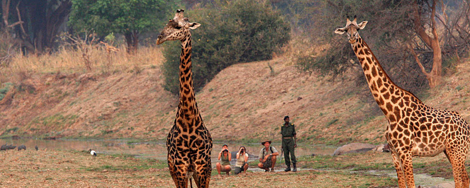 Amboseli to Diani Beach direct transfer train or flight