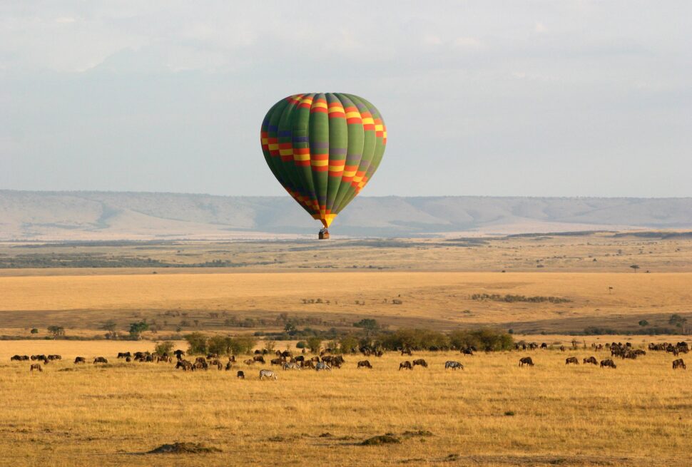 7 Incredible Golf and Safari Experiences in Kenya