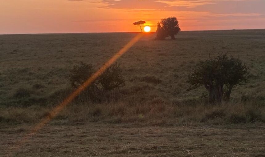 12-Hour Rule for Masai Mara: 7 Essential Facts