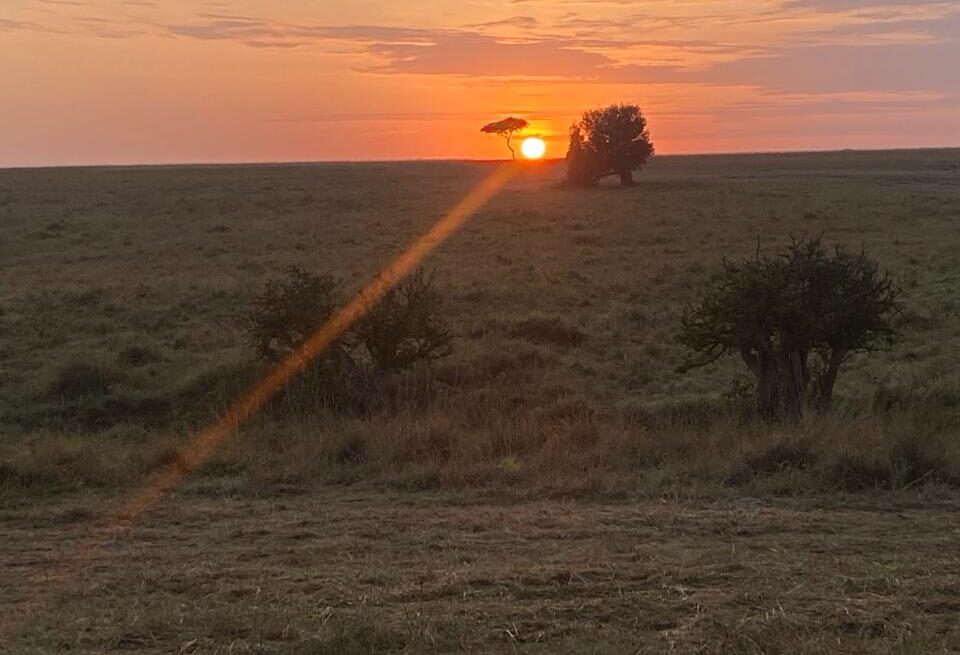 12-Hour Rule for Masai Mara