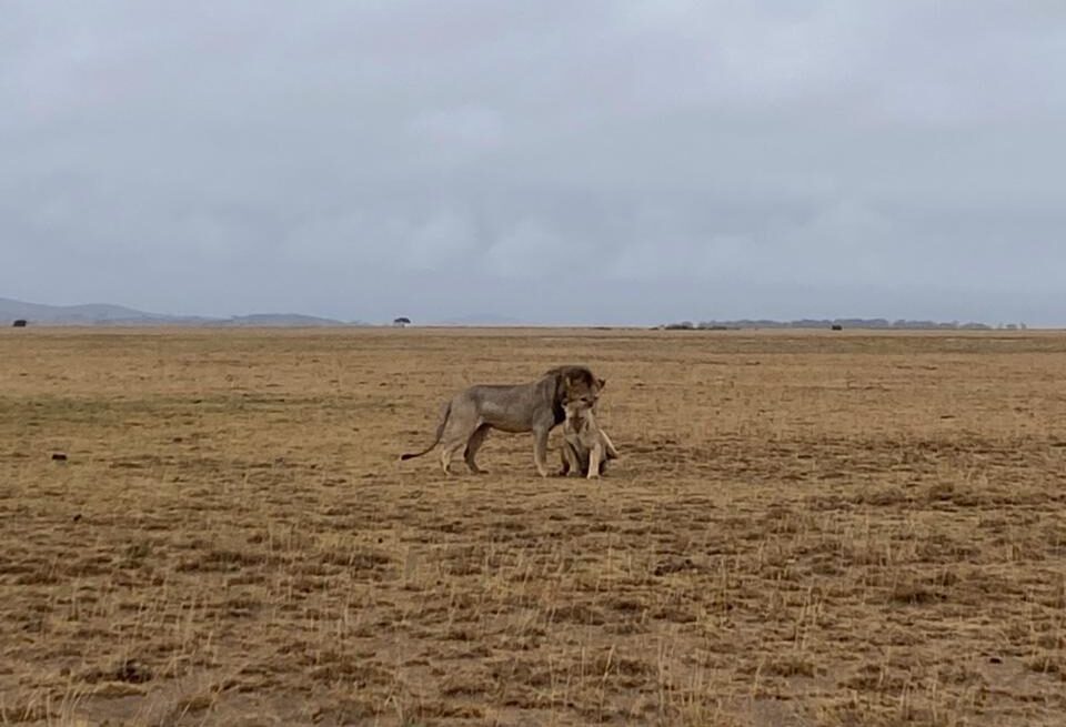 Meru National Park