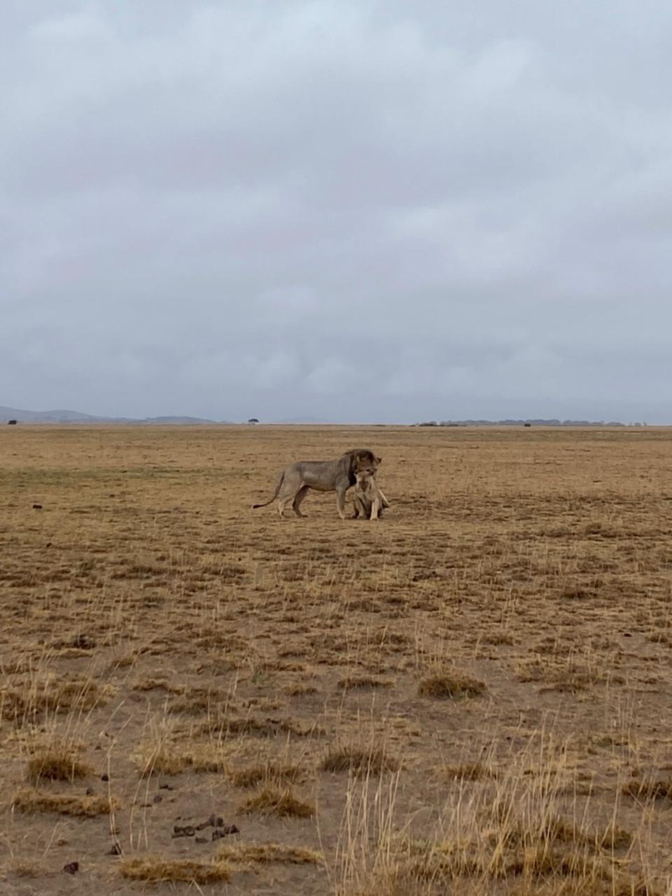 Meru National Park