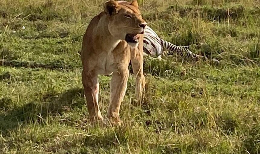Things to Do in Kenya: 15 Incredible Adventures Await