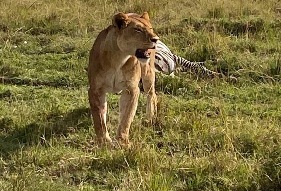 Things to Do in Kenya