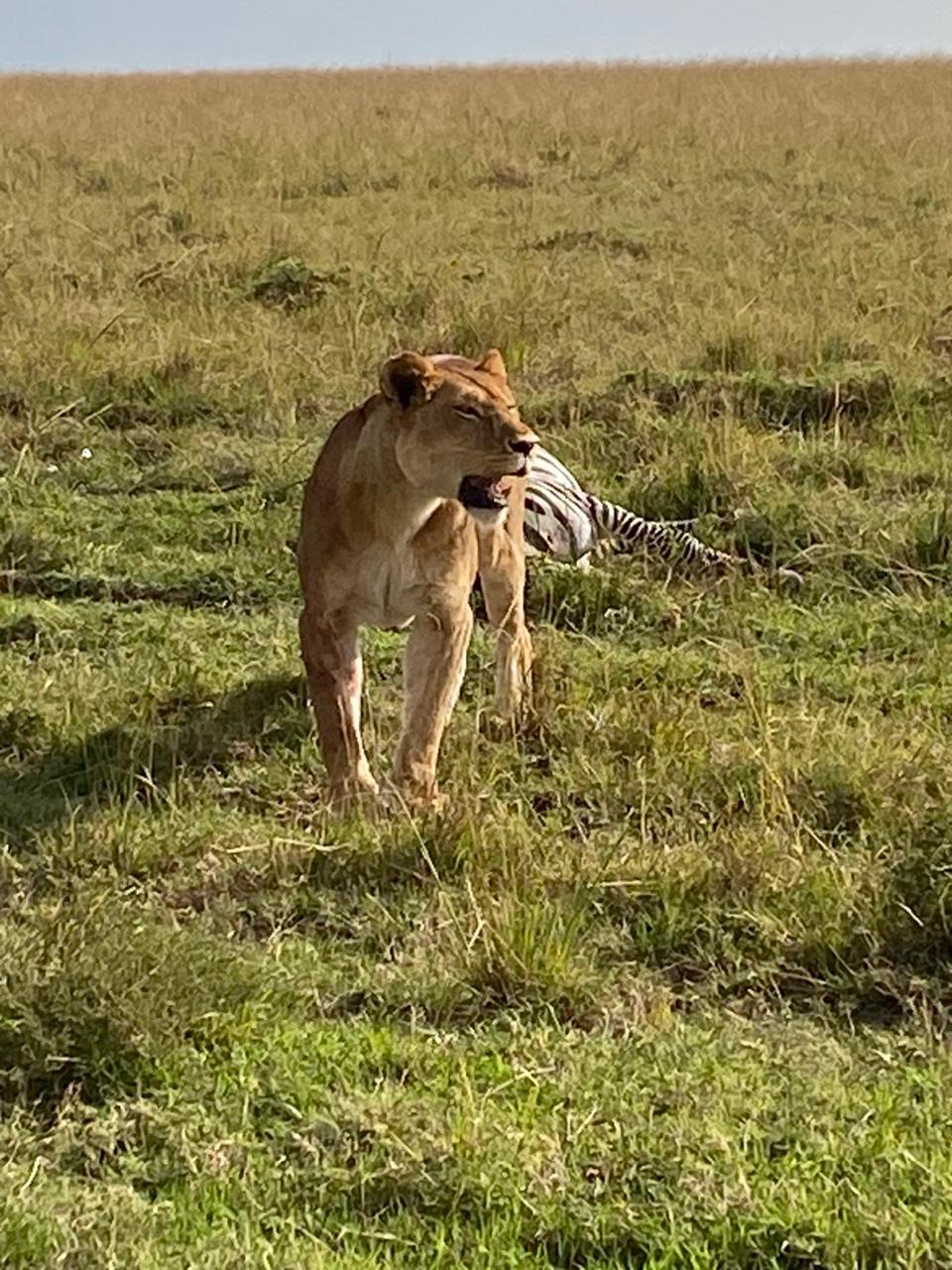 Things to Do in Kenya