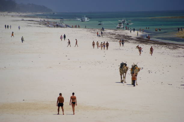 Lamu Island Experiences Safari and Beach Holidays in Kenya. Kenya Safari & Beach Holidays
