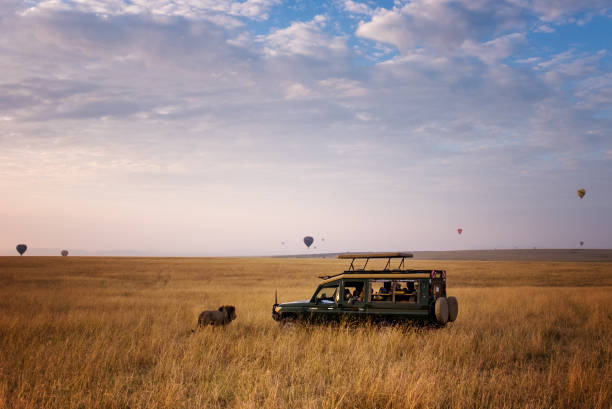 Kenya Safari Cost