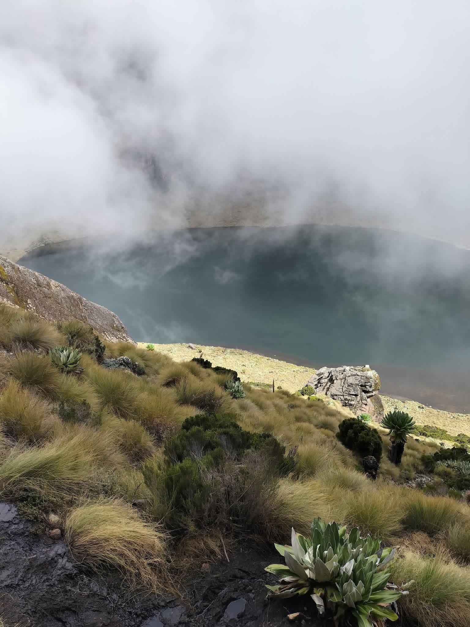 Mount Kenya TrekkinMount Kenya trekking and safari combo, Mount Kenya luxury safari, East Africa safari itinerary, best time for safari Kenya, Cinematic Vacations safari guide