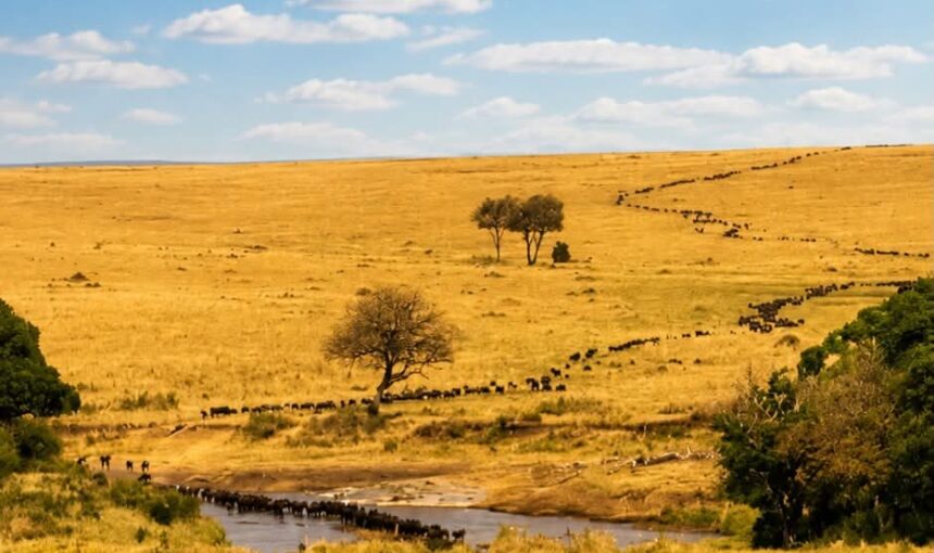 Kenya Tanzania Grand Safari: 14 Epic Days