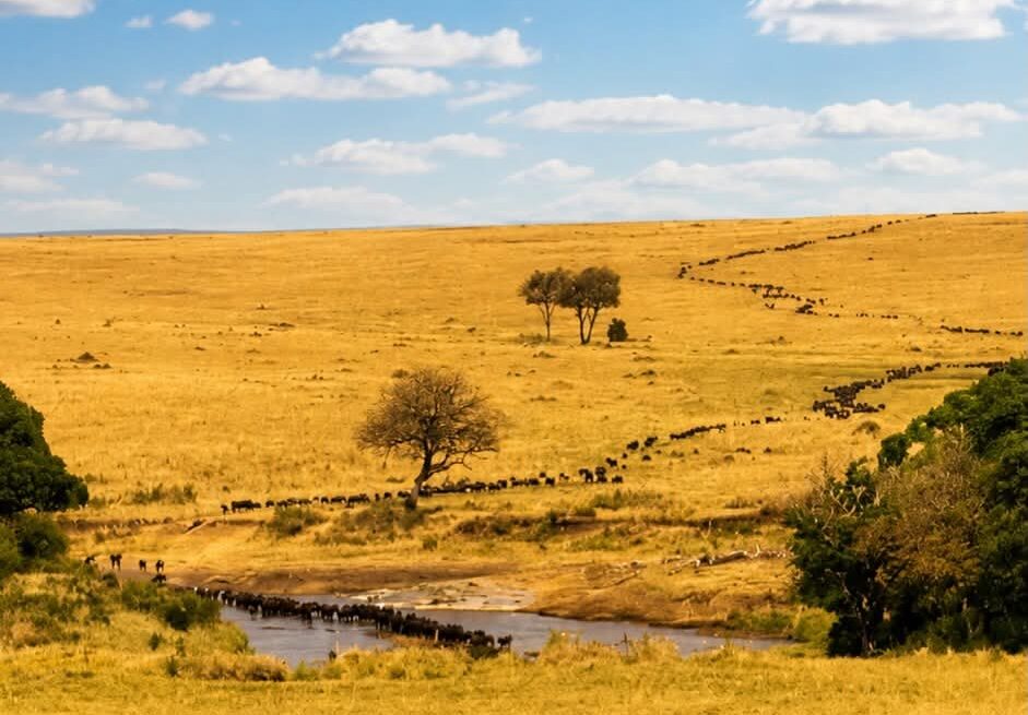 Kenya Tanzania Grand Safari