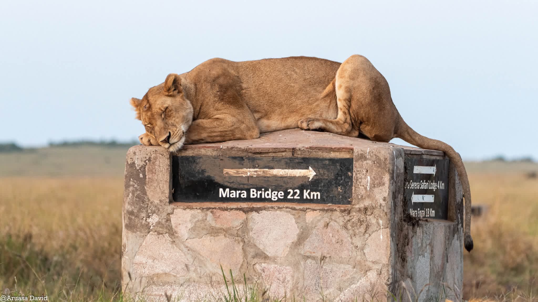 private Africa safaris