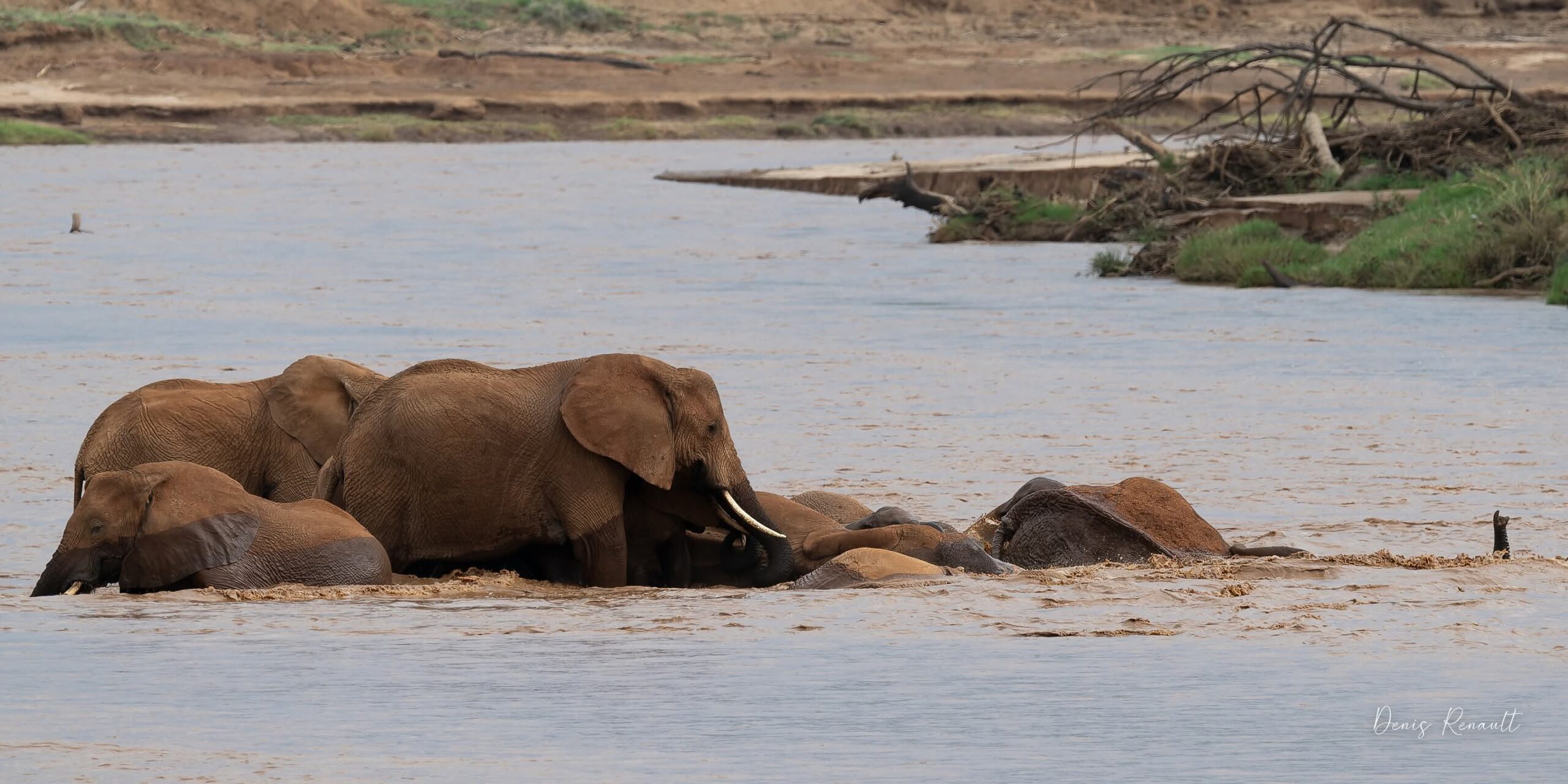 4-Day Kenya Safari