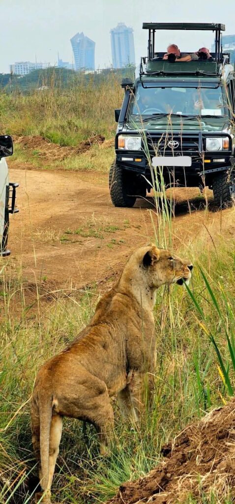 Kenya Safari & Beach Vacation from USA