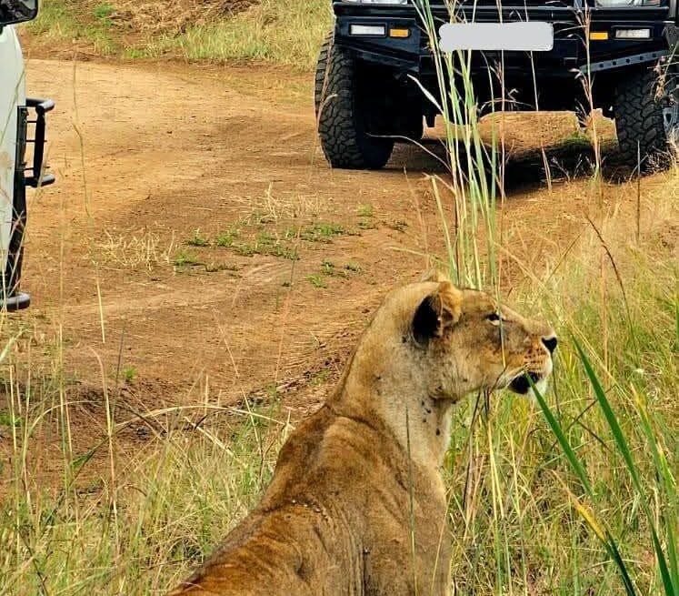 Kenya Safari & Beach Vacation from USA