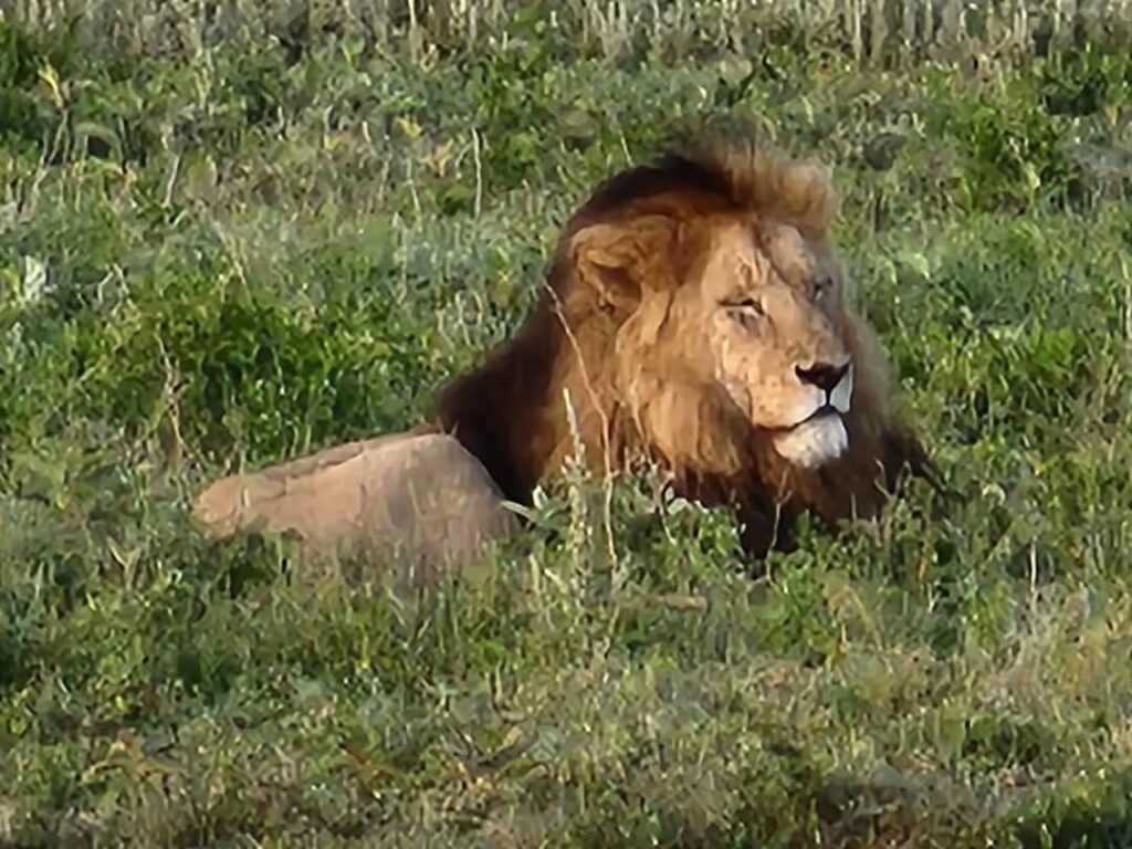 5-Day Kenya Safari