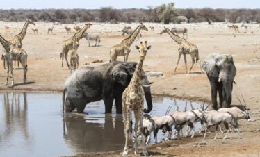 10-Day Kenya Safari: 9 Incredible Places That