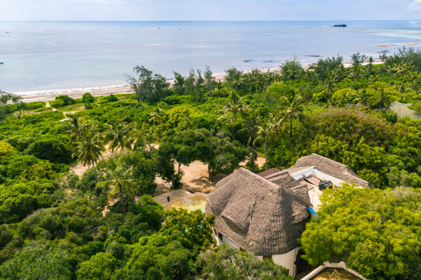 Secret Activities in Watamu