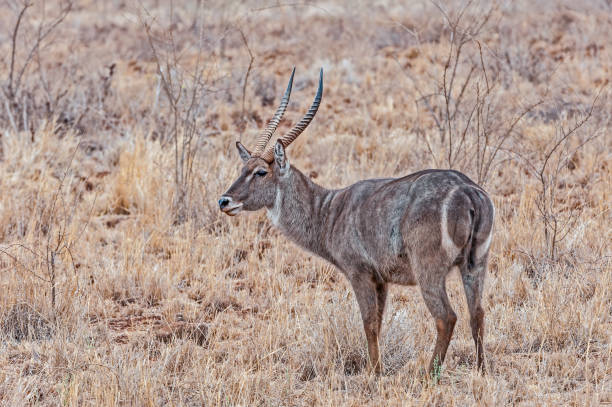 What to See in Kenya: 10 Incredible Places to Explore