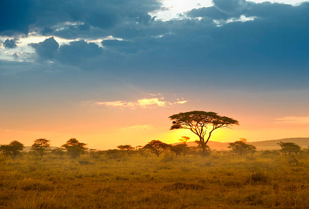 Kenya visa on arrival