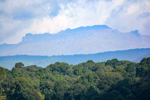 Most Beautiful Safari Rwanda luxury gorilla trekking Volcanoes National Park