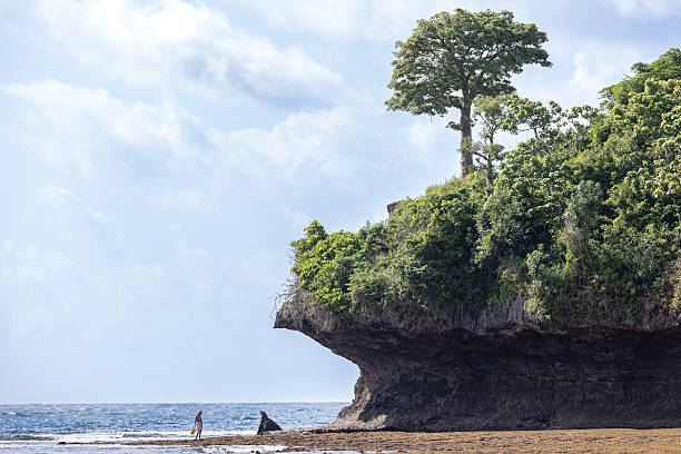 Kenya Safari