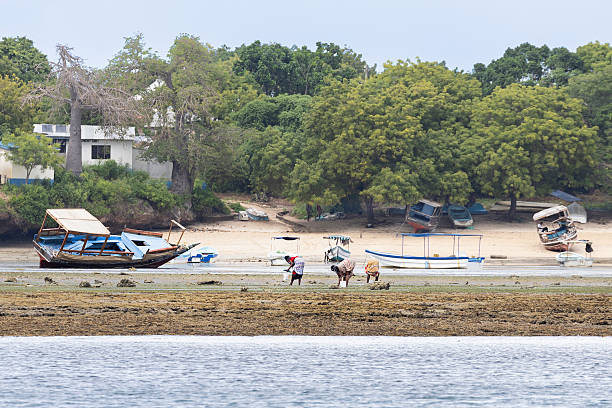 Incredible Things to Do in Kenya