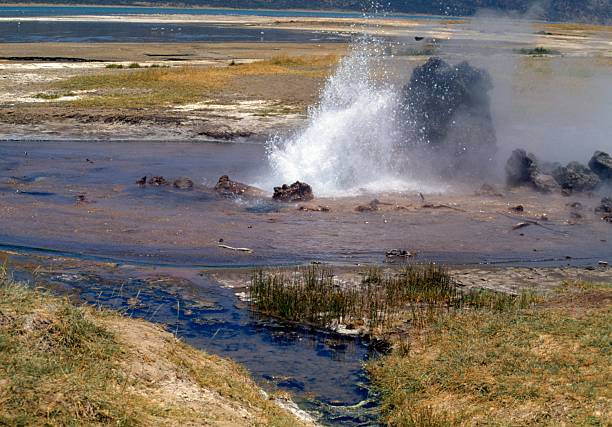 Best Time to Visit Kenya best time to visit Kenya for safari and beach