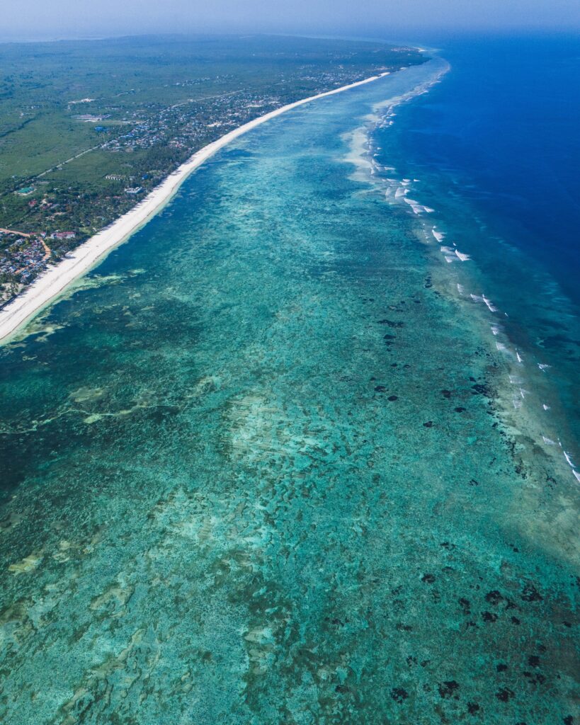 Things to Do in Diani Beach
