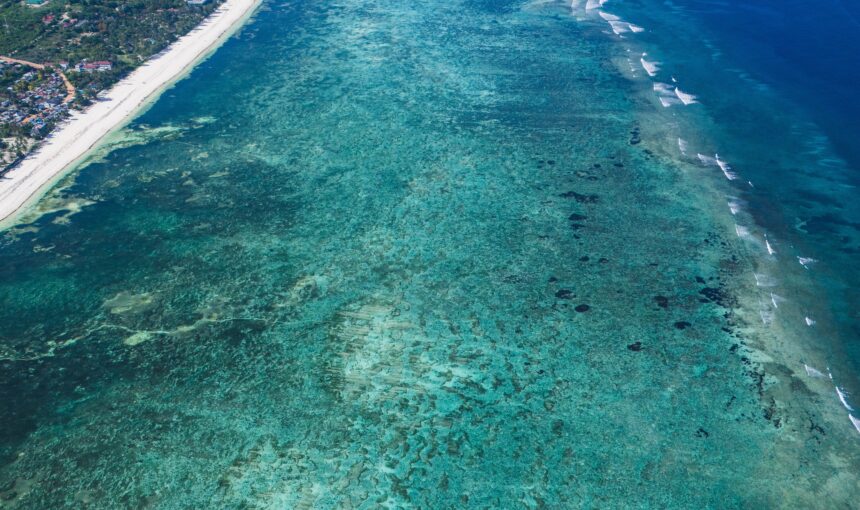 Things to Do in Diani Beach: 11 Ultimate Adventures