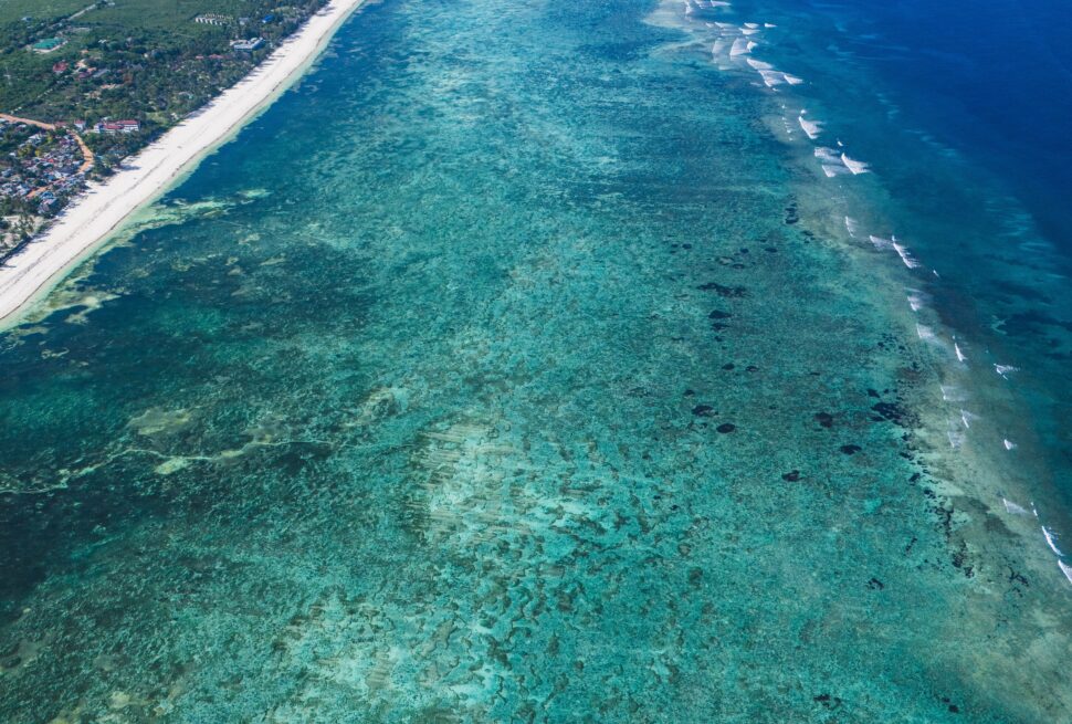 Things to Do in Diani Beach