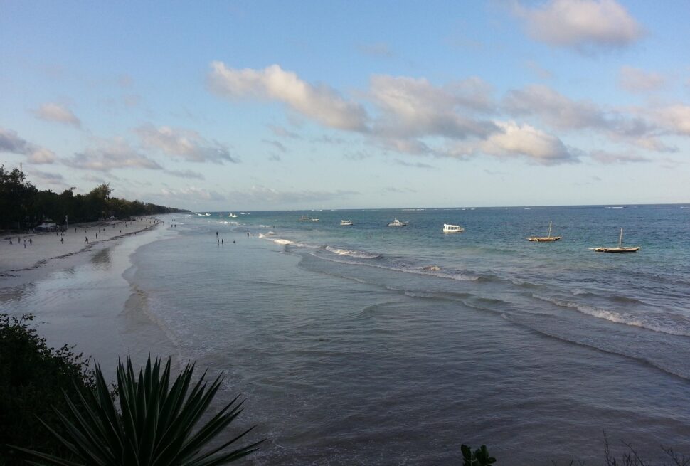 Maasai Mara and Diani beach itinerary, Diani luxury safari, East Africa safari itinerary, best time for safari Kenya, Cinematic Vacations safari guide